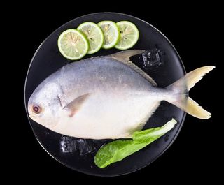 鲳鱼图片