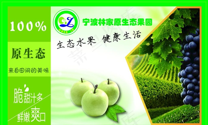 果园图片ai矢量模版下载