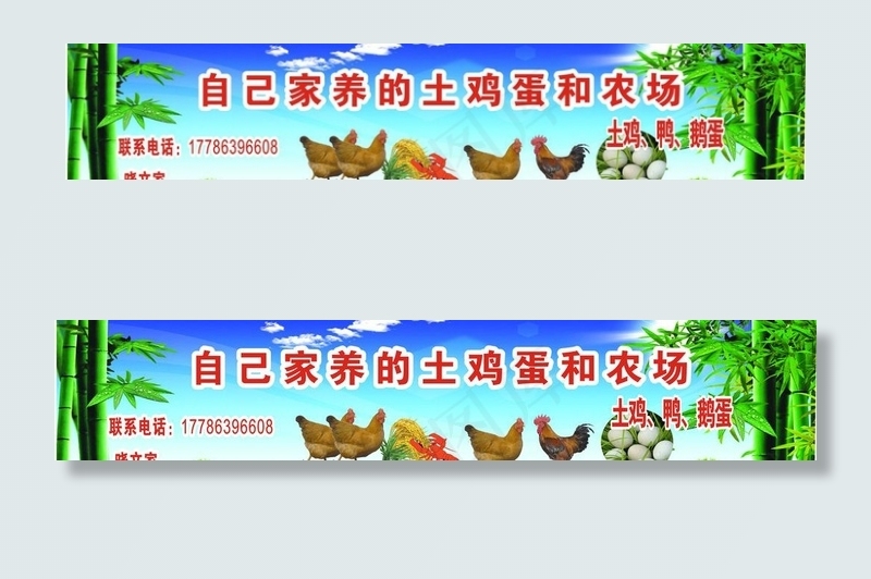 土鸡蛋招牌设计图片