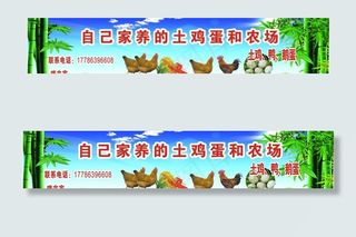 土鸡蛋招牌设计图片