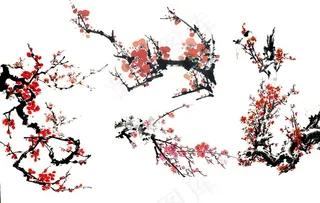 梅花图片