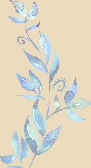 花枝图片