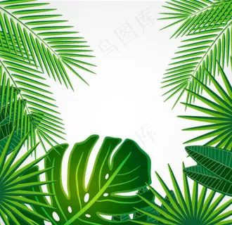 树叶图片 树叶图片