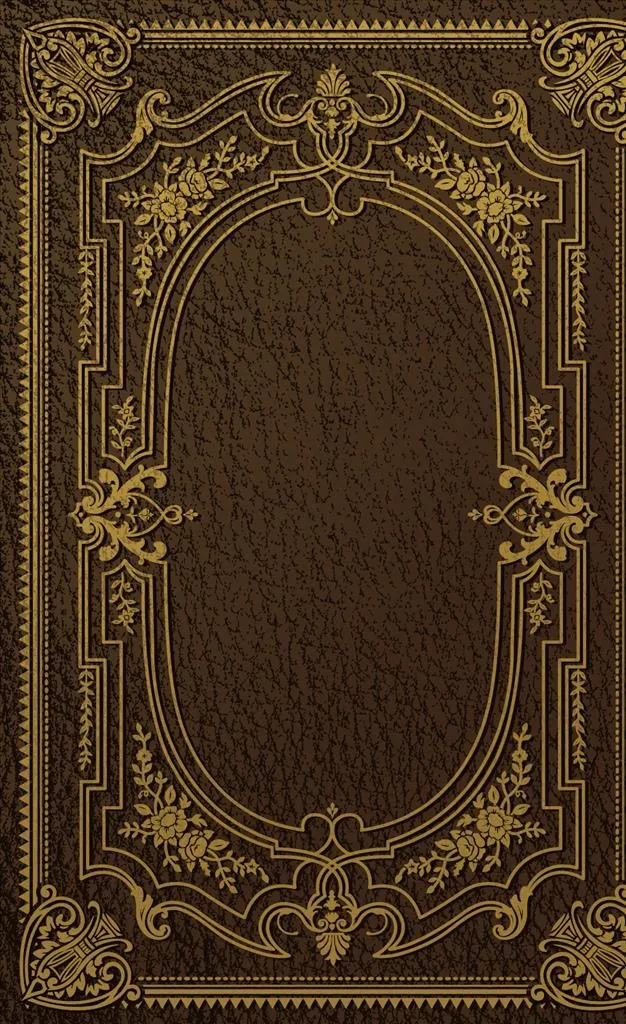 花边图片ai矢量模版下载