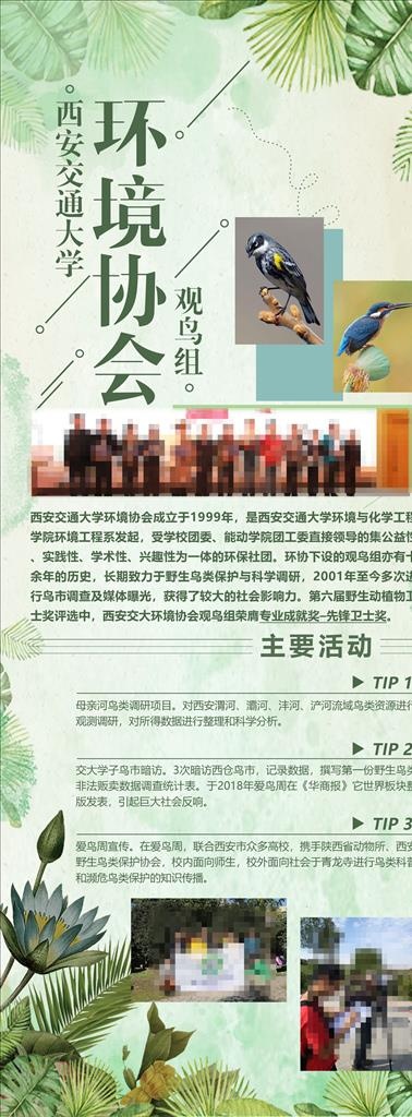 环境协会  生态图片(2362X5906(DPI:75))psd模版下载