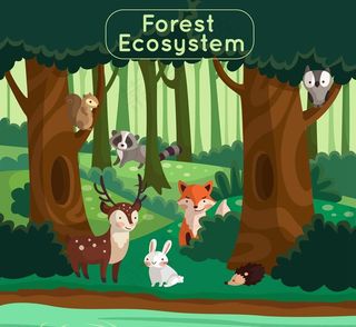 创意森林生态系统图片