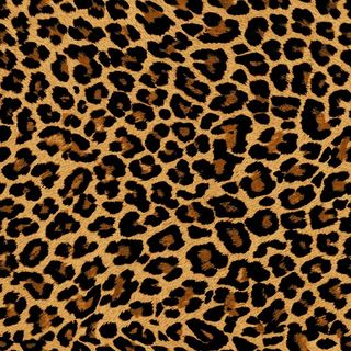 豹纹图片