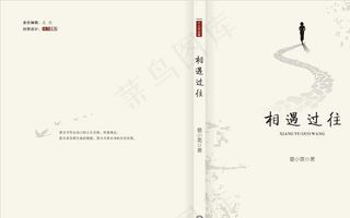 文学书籍封面设计图片