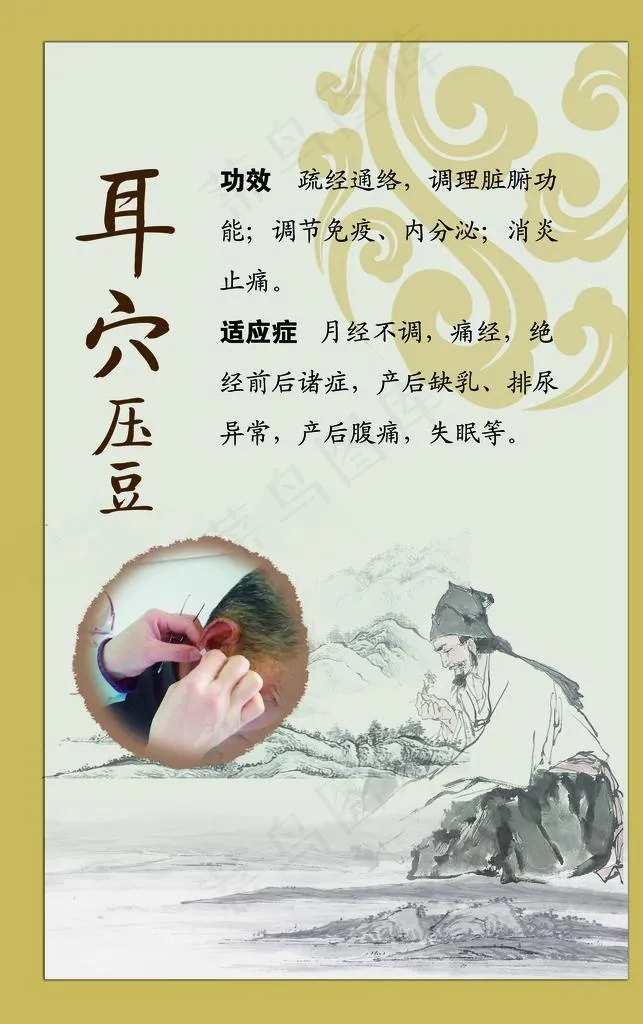 耳穴压豆图片(3425X5197(DPI:150))psd模版下载