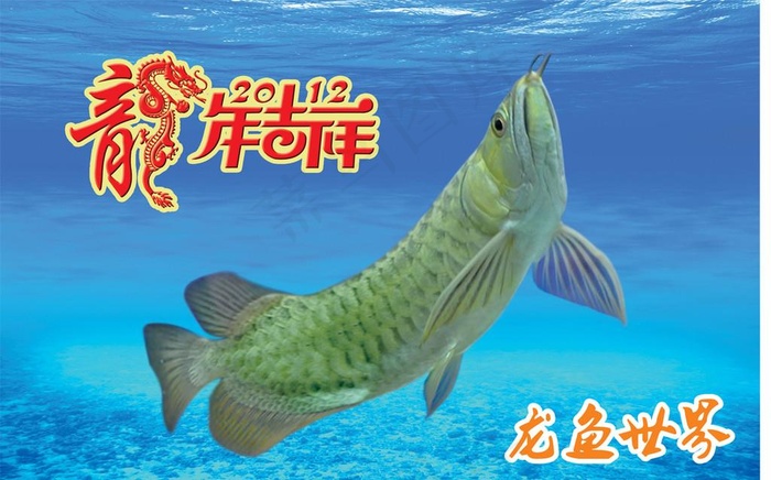 龙年龙鱼图片psd模版下载