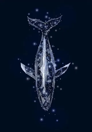 鲸鱼 低多边形图片