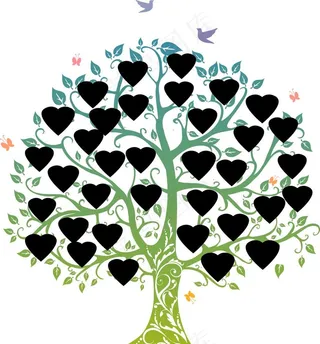 照片树福禄树图片