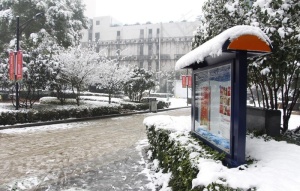 雪景图片
