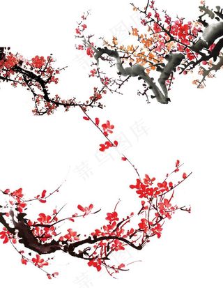 梅花素材图片