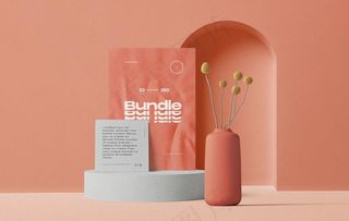 包装场景样机图片