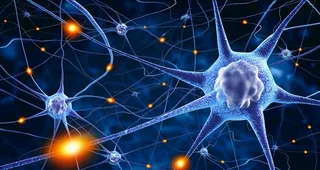 细胞放大图图片