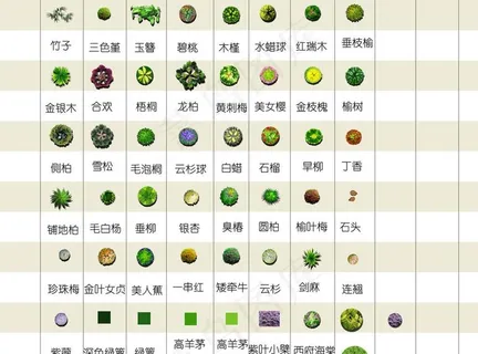 园林平面树大全图片