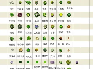 园林平面树大全图片