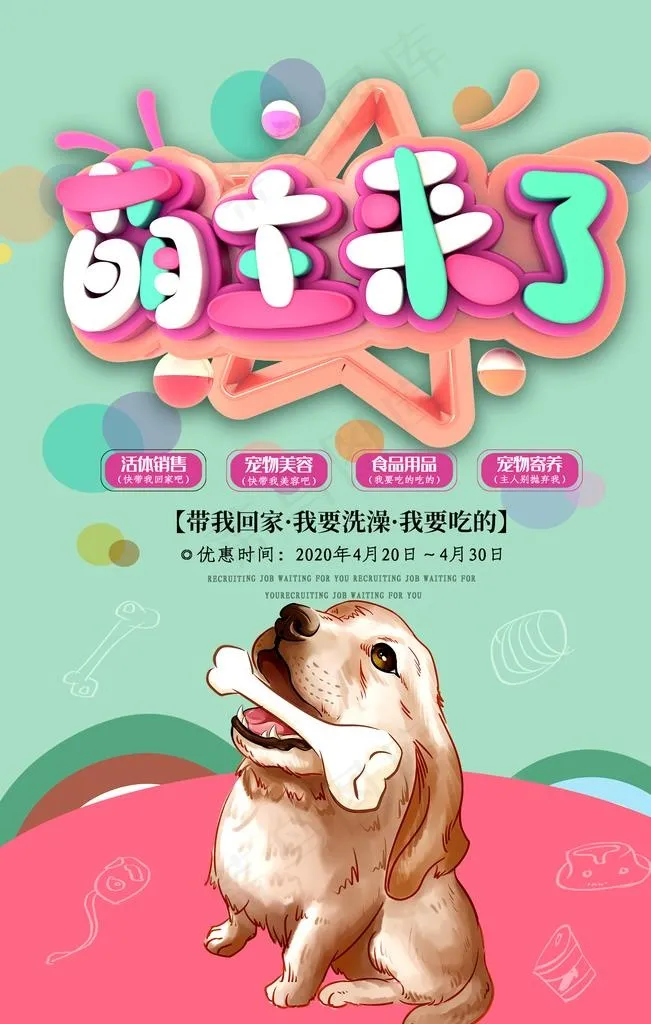 宠物店图片psd模版下载