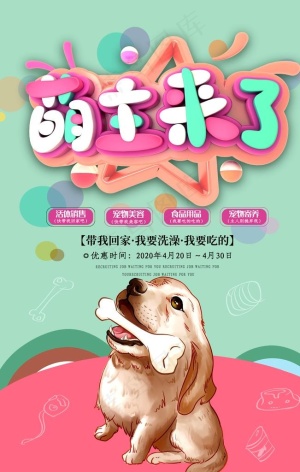 宠物店图片
