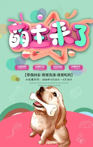宠物店图片
