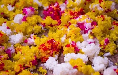 彩色糯米饭图片