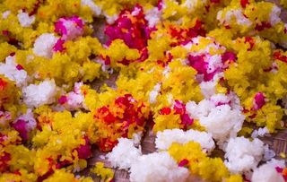 彩色糯米饭图片