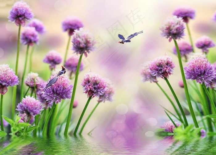 梦幻花倒影图片