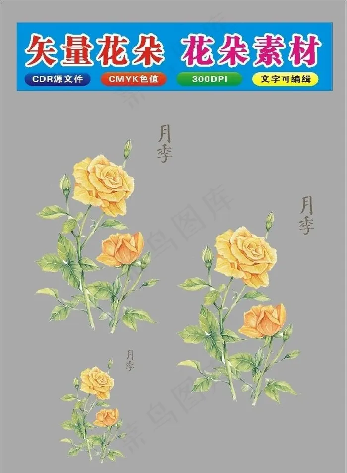 花朵浅黄色图片cdr矢量模版下载