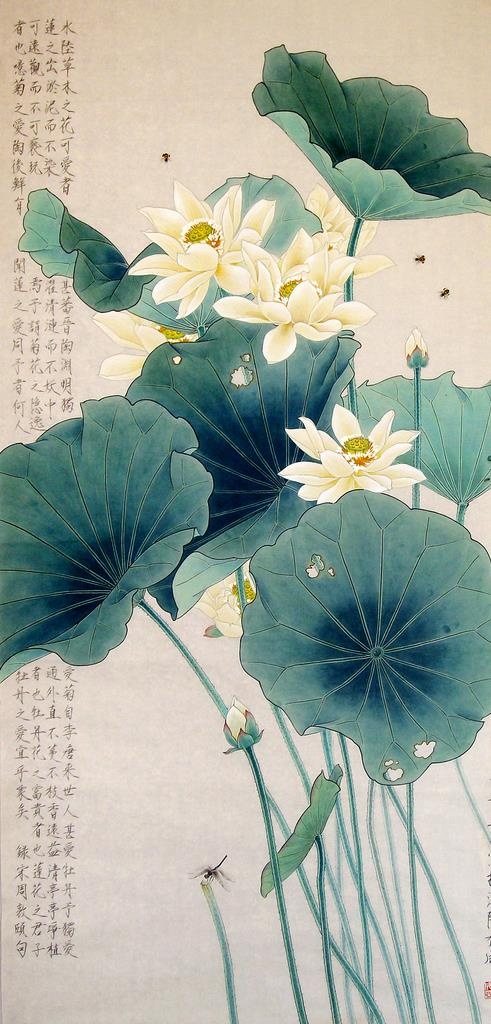 荷花图图片
