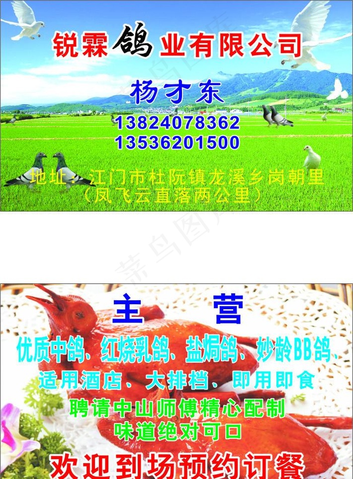 名片图片cdr矢量模版下载
