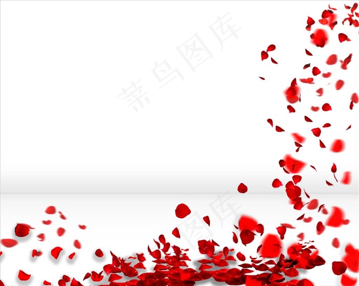 玫瑰花瓣散落图片