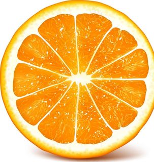 橙子切片图片
