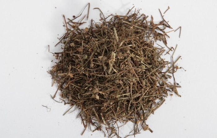 白花蛇舌草图片