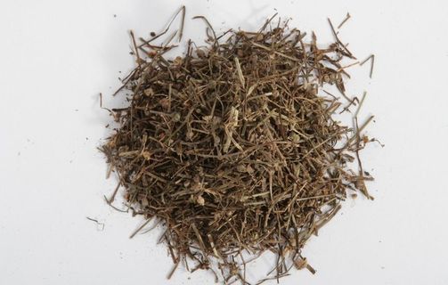 白花蛇舌草图片