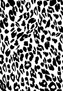豹纹图片