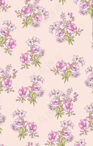 花卉女装花型图片