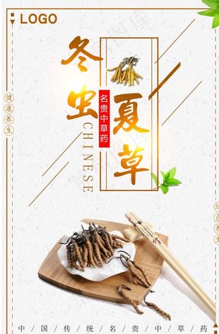 简约古风冬虫夏草药品海报图片