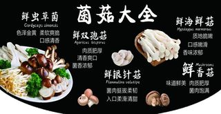 菌菇大全图片