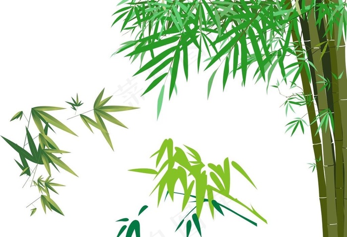 竹子图片cdr矢量模版下载