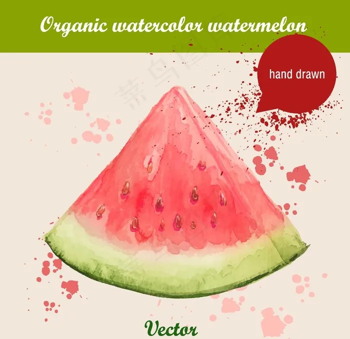 水彩西瓜图片ai矢量模版下载