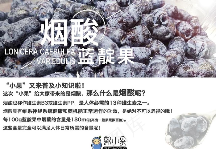蓝靛果图片(3543X2561(DPI:150))psd模版下载