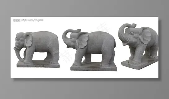石象图片