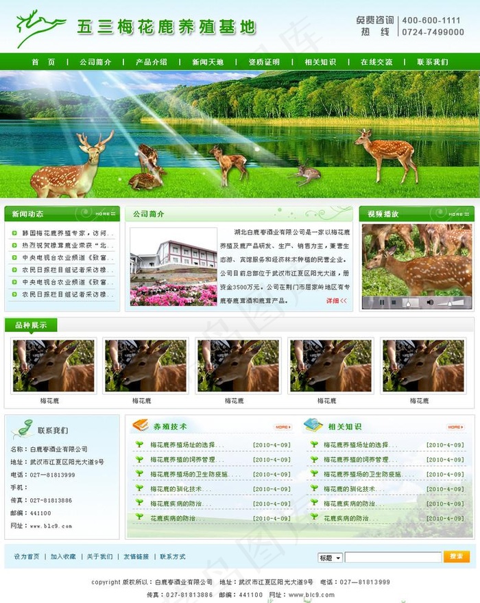 养殖场 绿色 梅花鹿图片psd模版下载