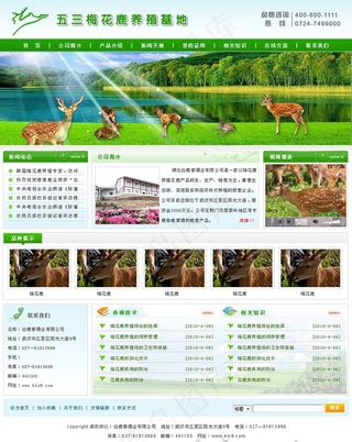 养殖场 绿色 梅花鹿图片