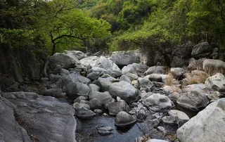 云露的石滩图片