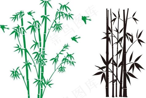 竹子图片