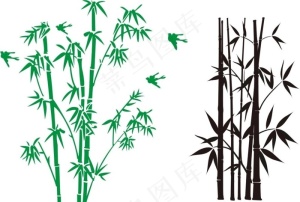 竹子图片