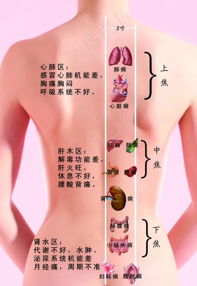 按摩图图片(2835X4252(DPI:120))psd模版下载