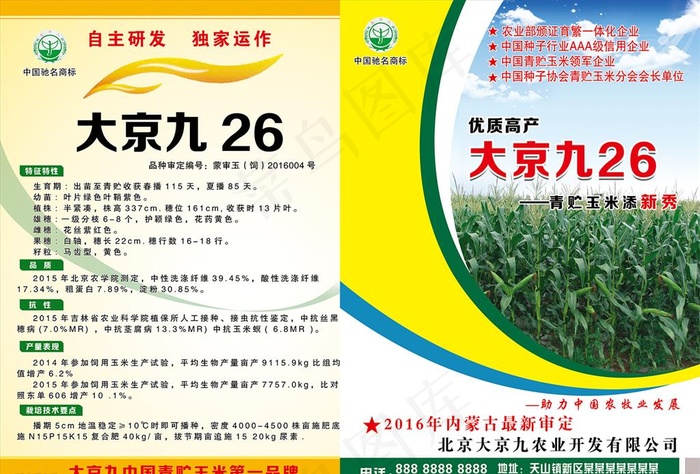 玉米彩页 青贮彩页图片(2551X3508(DPI:300))psd模版下载